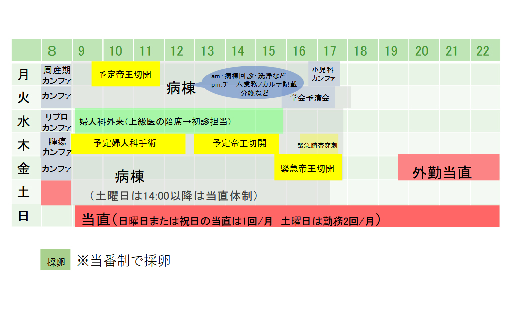 研修スケジュール（後期研修医の1週間の一例）